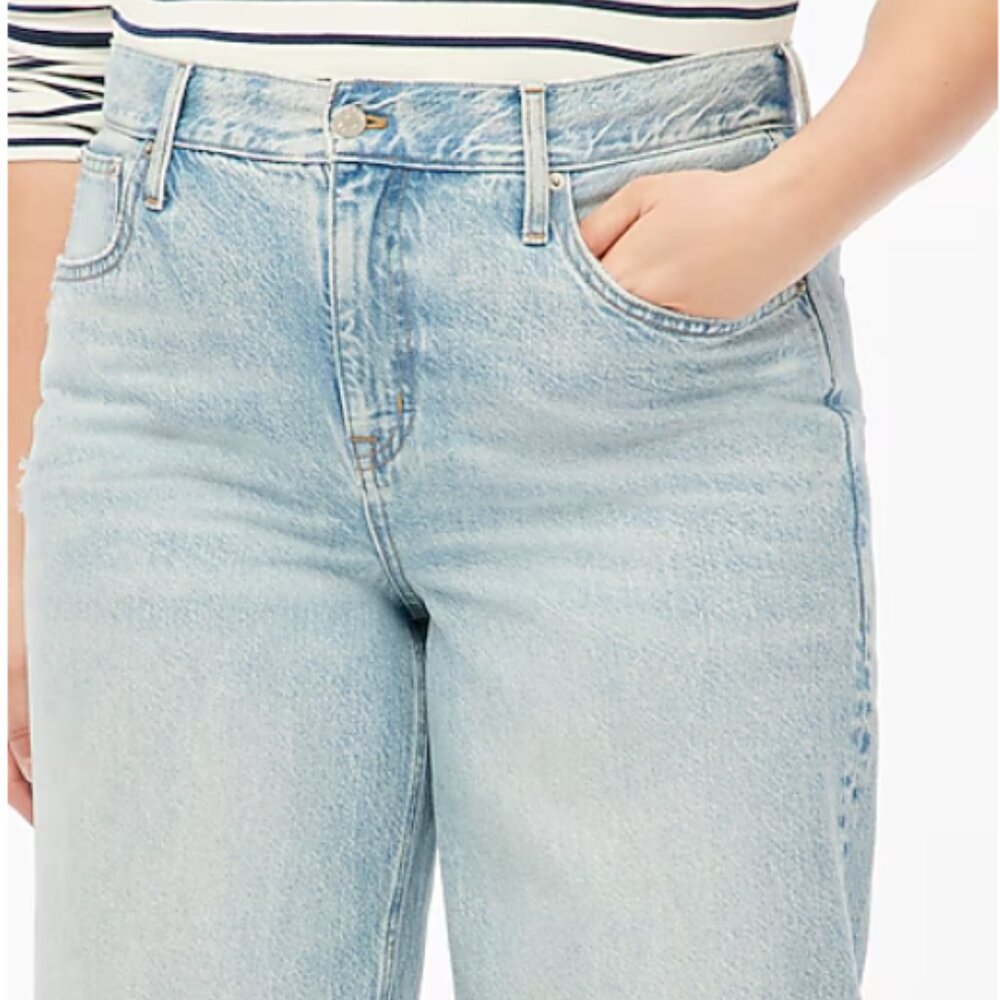 NWT J. Crew Factory 90s Vintage Baggy Jean Size 30T - Picture 5 of 16